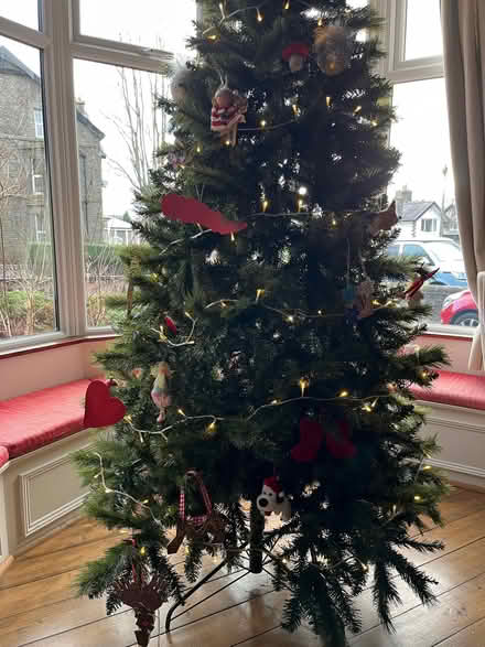 Photo of free Artificial Christmas Tree (Harpur Hill SK17) #2