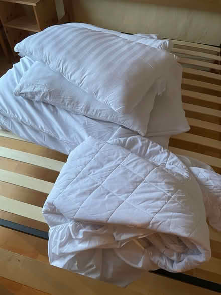 Photo of free Duvey and pillows (Greaves LA1) #1