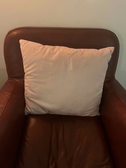 Photo of free Throw for couch and 4 cushions (Dublin 4) #2