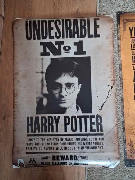 Photo of free Harry Potter posters x2 (Sandbach) #2