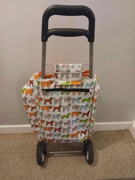 Photo of free Insulated Shopping Trolley (Durham) #2