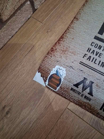 Photo of free Harry Potter posters x2 (Sandbach) #3