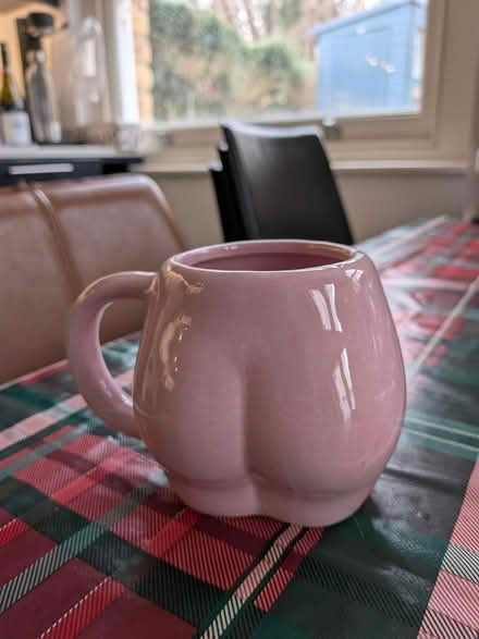 Photo of free Womens body mug (Forest Hill) #1