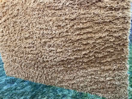 Photo of free Shaggy rug (Cheshunt EN7) #1