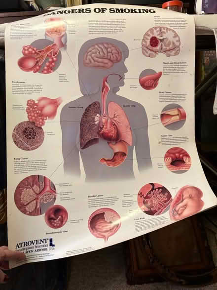 Photo of free “No smoking” (Fremont) #1