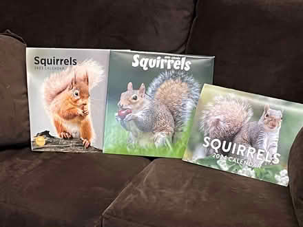 Photo of free Old Squirrel Calendars for pictures (Wallingford) #1
