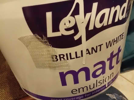 Photo of free Leyland matte white emulsion paint (Dalston E8) #1
