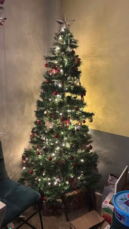 Photo of free Christmas Tree (Denmark Hill SE5) #1