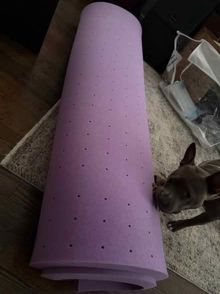 Photo of free Cooling gel mattress pad (Annapolis (near Quiet Waters)) #1