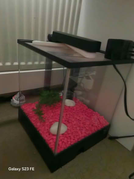 Photo of free Fish tank - small (IG6) #1