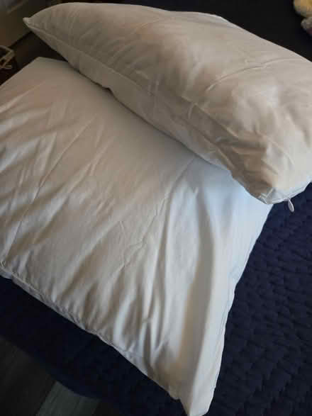 Photo of free 2 pillows - brand new (Burtonsville) #1