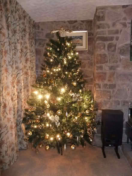 Photo of free Artificial Christmas Tree (no lights) (Stainton CA11) #1