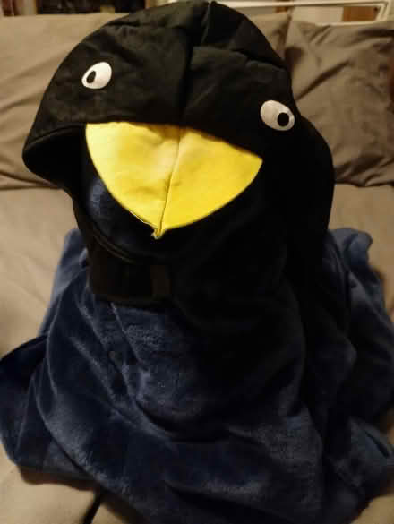 Photo of free Penguin costume (Lochend EH7) #2