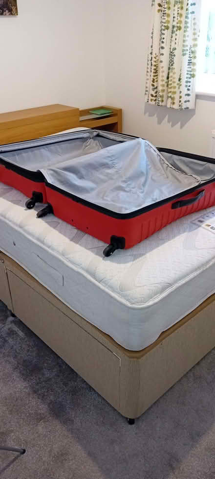 Photo of free Very Large Suitcase (Cradley WR13) #4