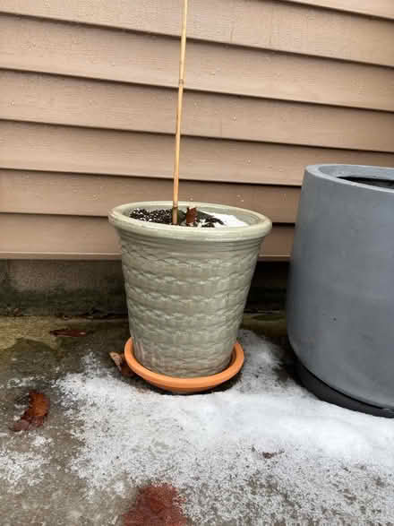 Photo of free Large Pots for Large Plants (Upper Stoney Cree) #4