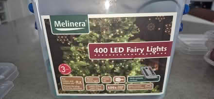 Photo of free Christmas lights (Clanfield) #4