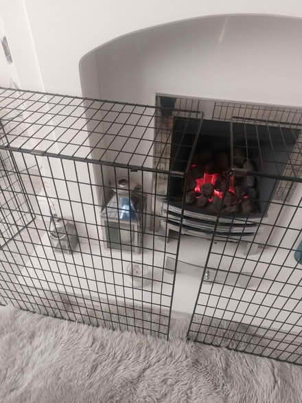 Photo of free Safety fire guard (Huyton L36) #2