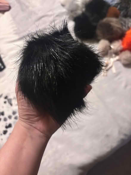 Photo of free Mixture of fluffy Pom Poms (NR4) #2