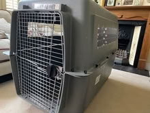 Photo of free X-large dog kennel (South Wimbledon SW20) #2