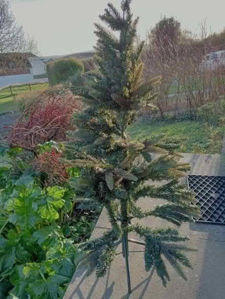 Photo of free Artificial Christmas tree (Wallands Park BN7) #1