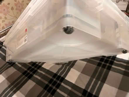 Photo of free Underbed storage boxes (LU6 Central Dunstable) #3