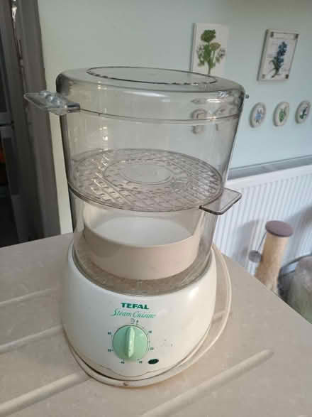 Photo of free Electric Steamer (City of Bristol BS16) #1