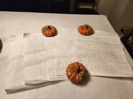 Photo of free 5 Canvases (Ambler) #1