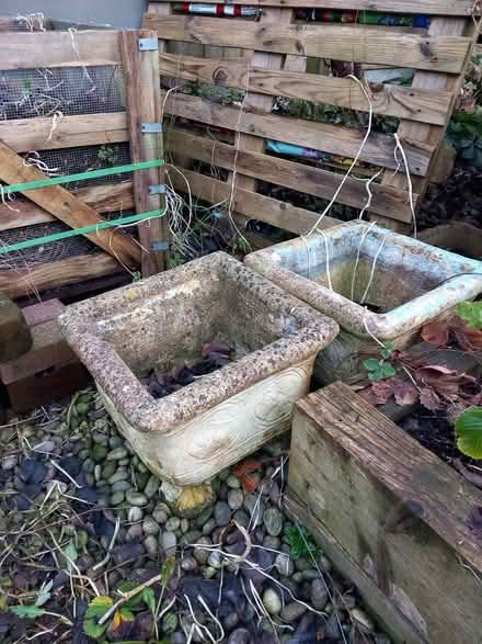 Photo of free Pair of concrete(?) planters (Bare LA4) #1