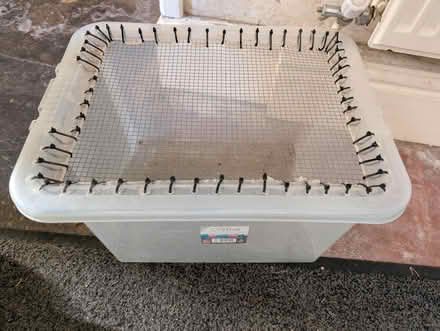 Photo of free 24 litre plastic tub (Pilling PR3) #1