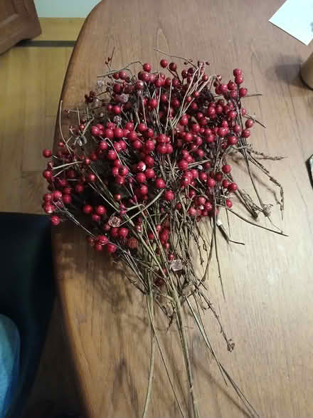 Photo of free Red berry decorations (Yonge and Sheppard) #1