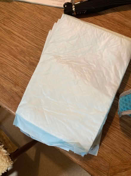 Photo of free Puppy dog things (Blackford EH9) #2