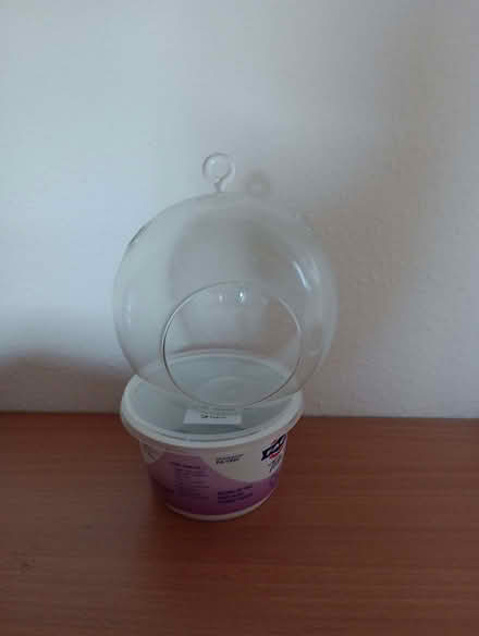 Photo of free Air plant holder (Lower Earley RG6) #1