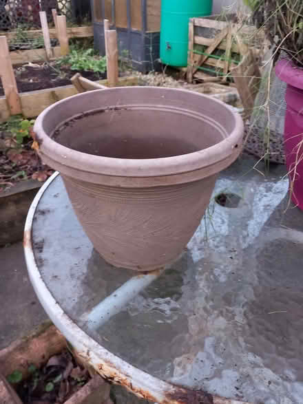 Photo of free Pair of plastic planters (Bare LA4) #1