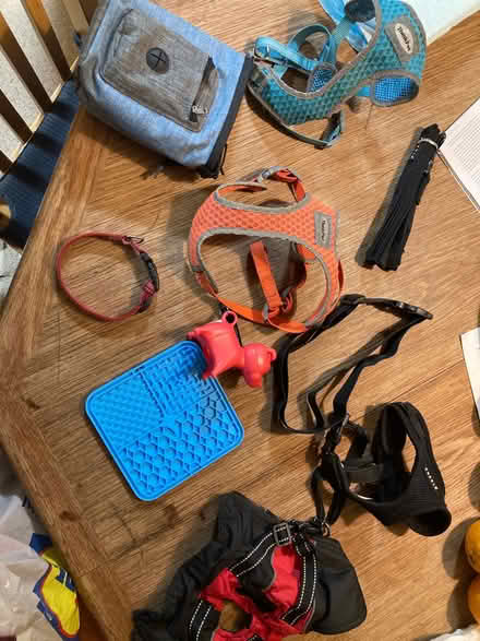 Photo of free Puppy dog things (Blackford EH9) #1