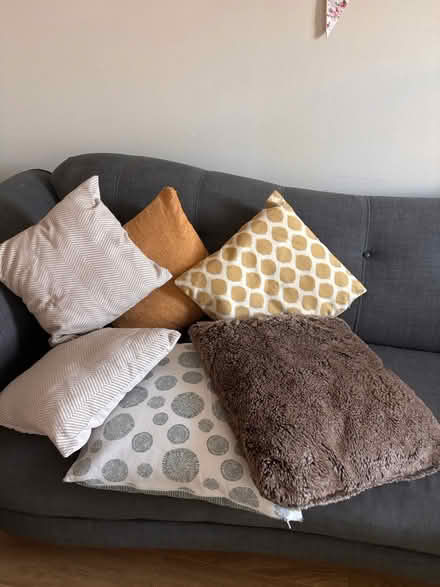 Photo of free Cushions (Kings Hill ME19) #1