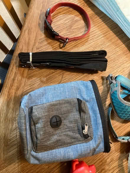 Photo of free Puppy dog things (Blackford EH9) #4