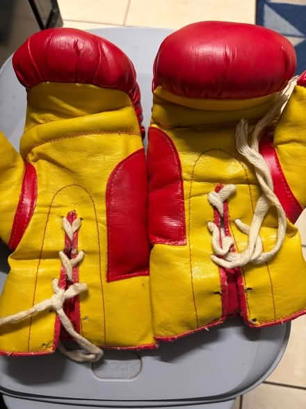 Photo of free Children’s boxing gloves (Westbury BA13) #1