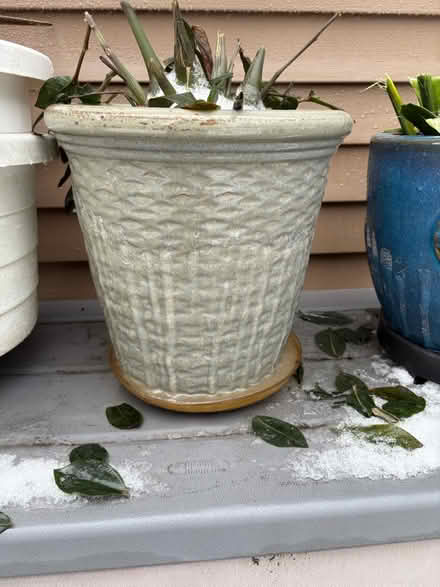 Photo of free Large Pots for Large Plants (Upper Stoney Cree) #2