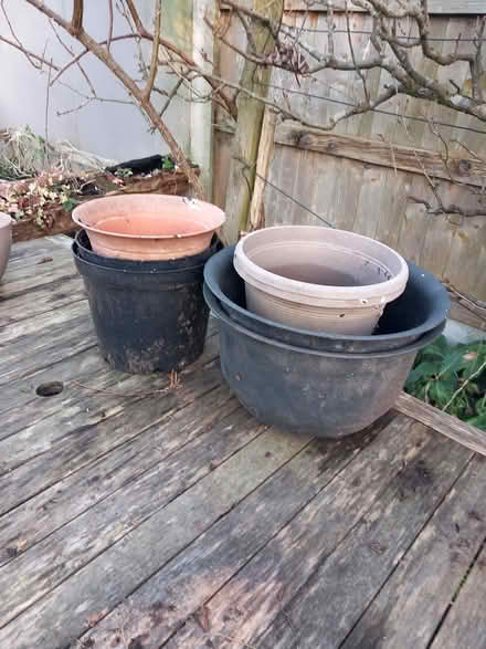 Photo of free plastic plant pots (Bare LA4) #1