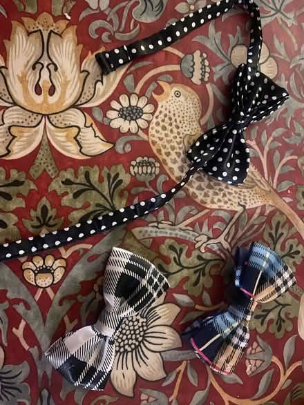 Photo of free Three dog bow ties (Northway OX3) #1