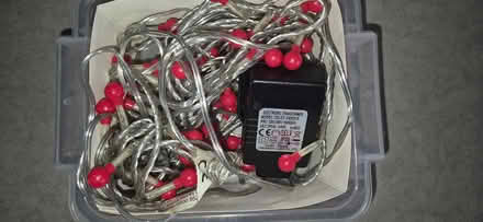 Photo of free Christmas lights (Clanfield) #2
