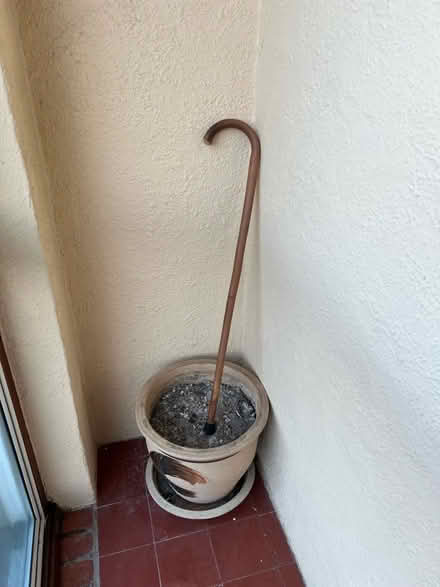 Photo of free Cane walking stick (Eastbourne BN21) #1