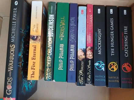 Photo of free Bundle of teen/YA fiction books (Layerthorpe YO31) #2