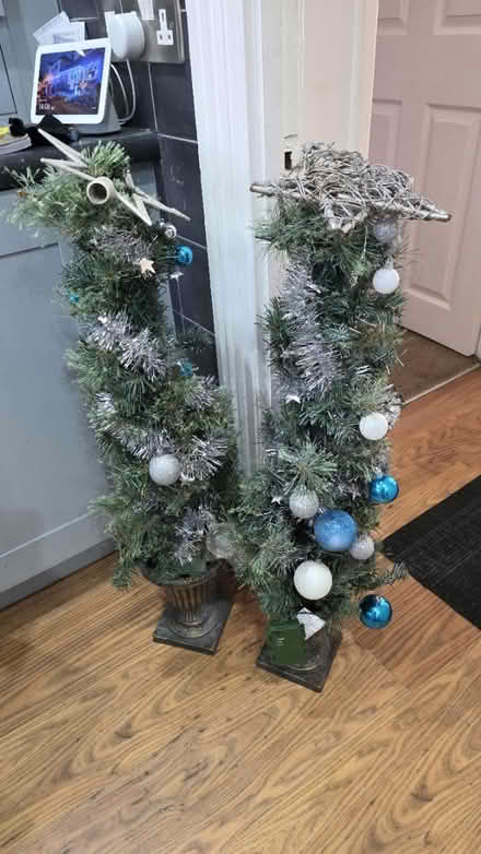 Photo of free Two mini outdoor Christmas trees (Leeds LS15) #1
