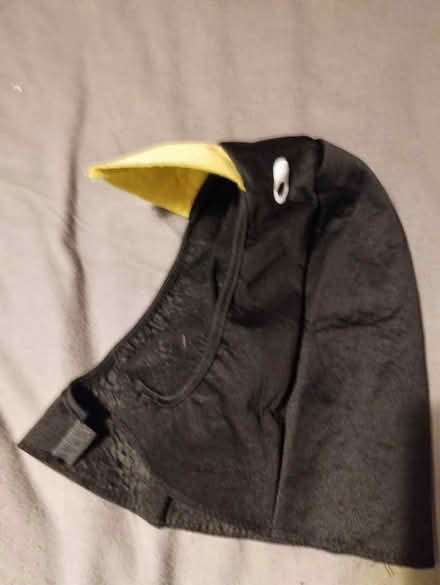Photo of free Penguin costume (Lochend EH7) #4