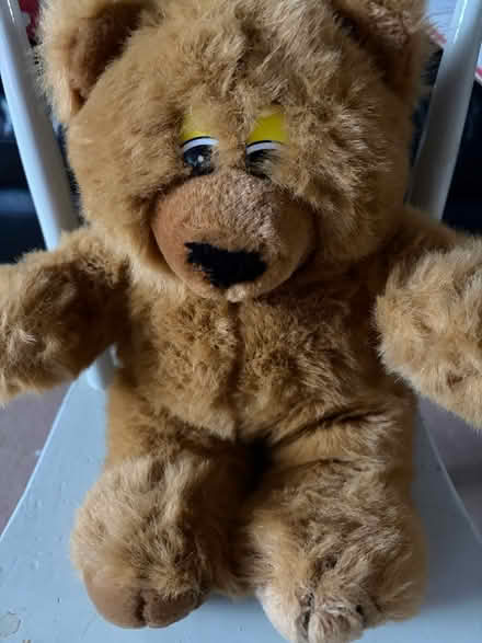 Photo of free Very soft teddy (Westbury BA13) #1