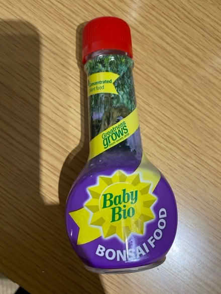 Photo of free Bonsai feed (Chippenham SN15) #1