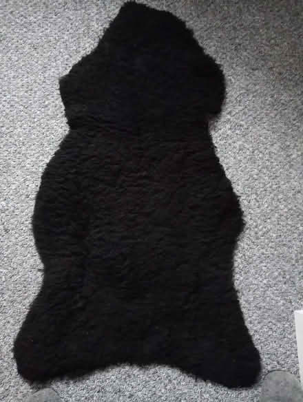 Photo of free Four black sheepskin rugs (Bottesford DN16) #1