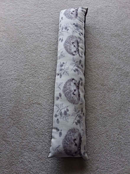 Photo of free Draft excluder (Northcourt OX14) #1