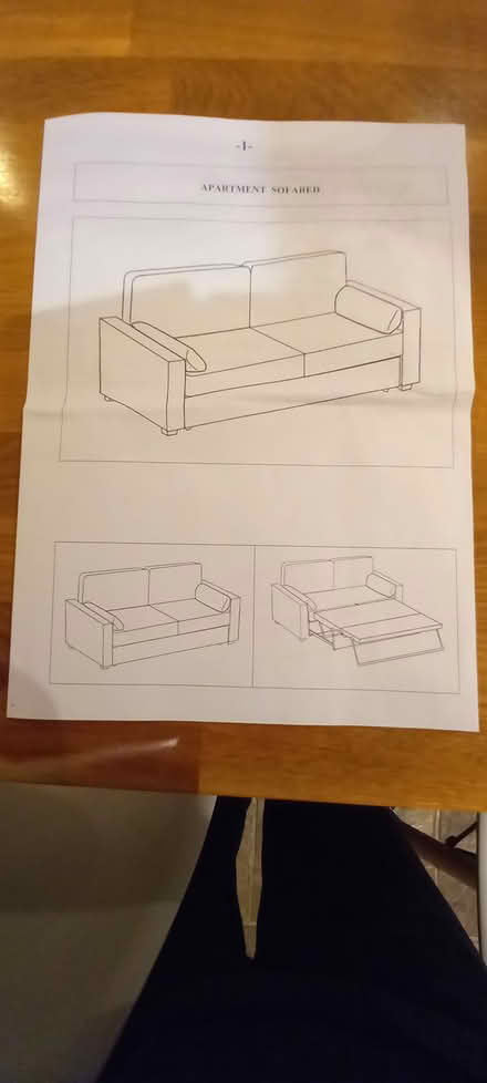 Photo of free Apartment sofa bed (Boars Head TN6) #3